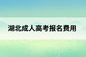 咸宁成人高考报名费用